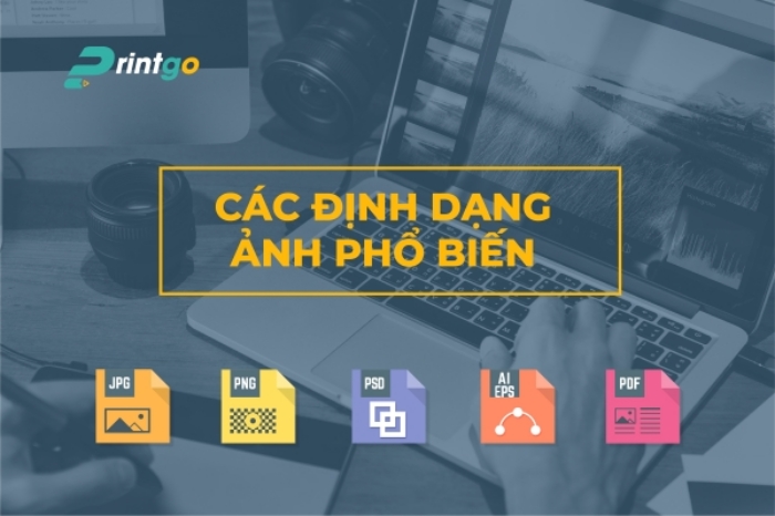 Độ phân giải hình ảnh 300 DPI