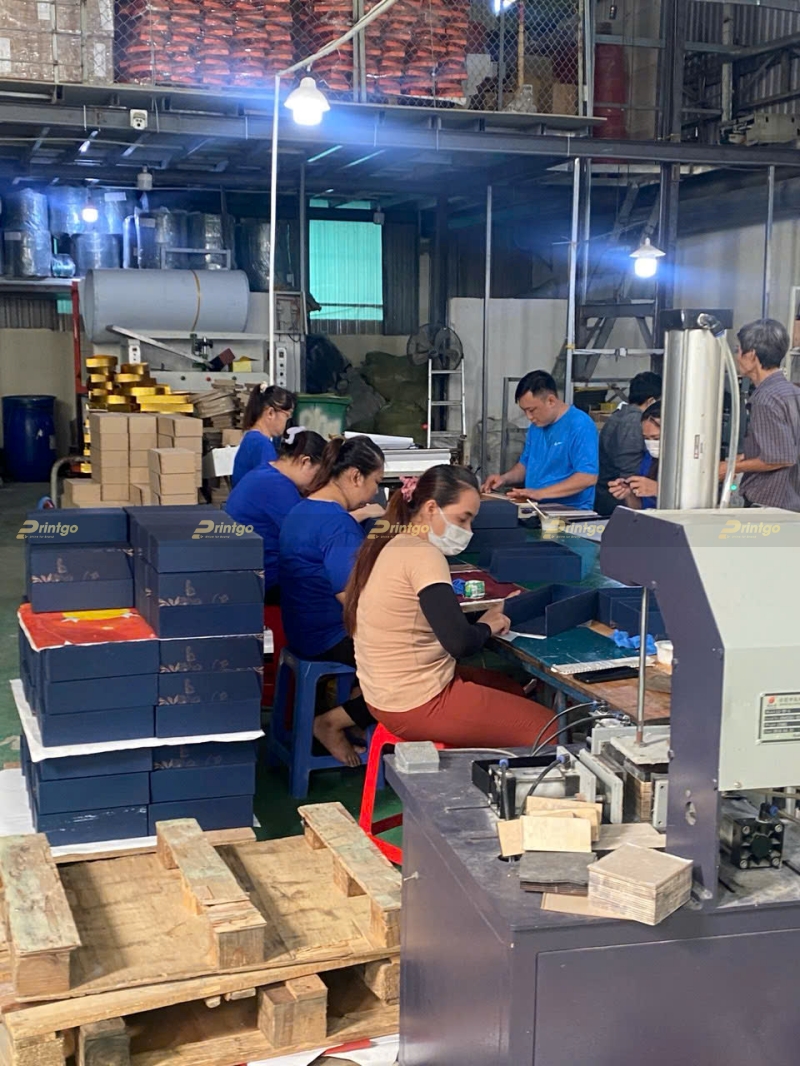 Xưởng in hộp popup 3D chuyên nghiệp trên toàn quốc
